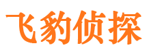 谷城市私家侦探